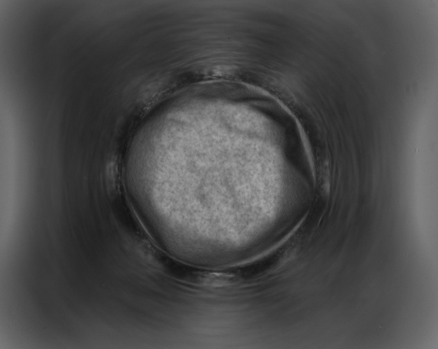 X0000086980222200705071423