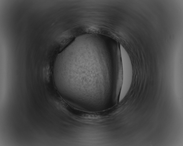 X0000086980223200705071423