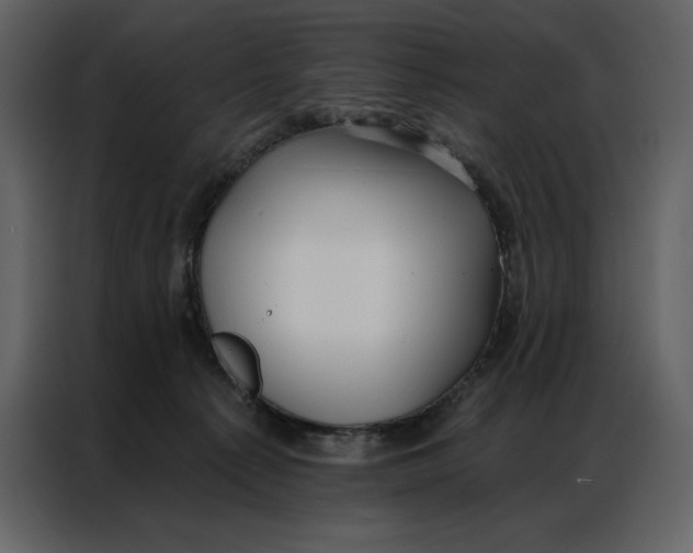 X0000086980225200705071423