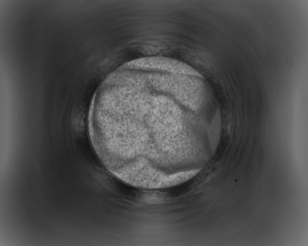 X0000086980226200705071423