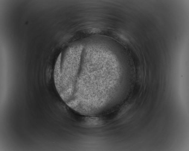 X0000086980230200705071423