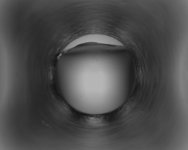 X0000086980232200705071423