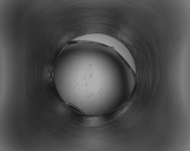 X0000086980237200705071423