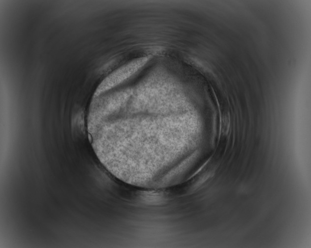 X0000086980238200705071423