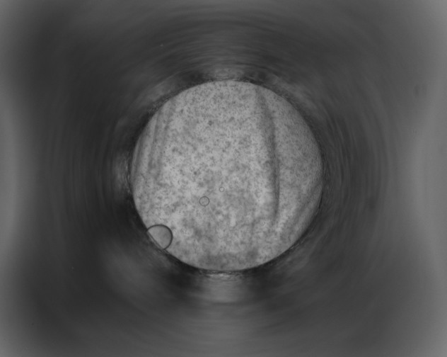 X0000086980240200705071423