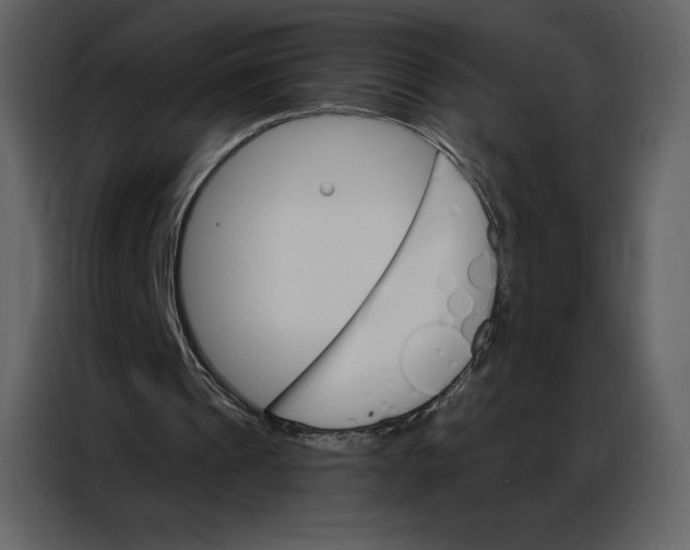 X0000086980241200705071422