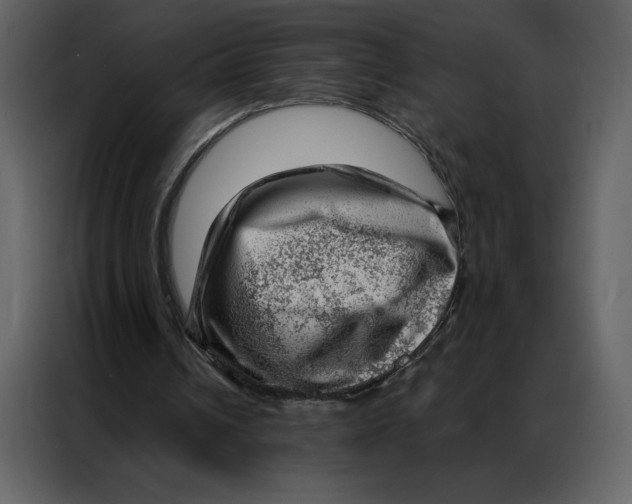 X0000086980242200705071422