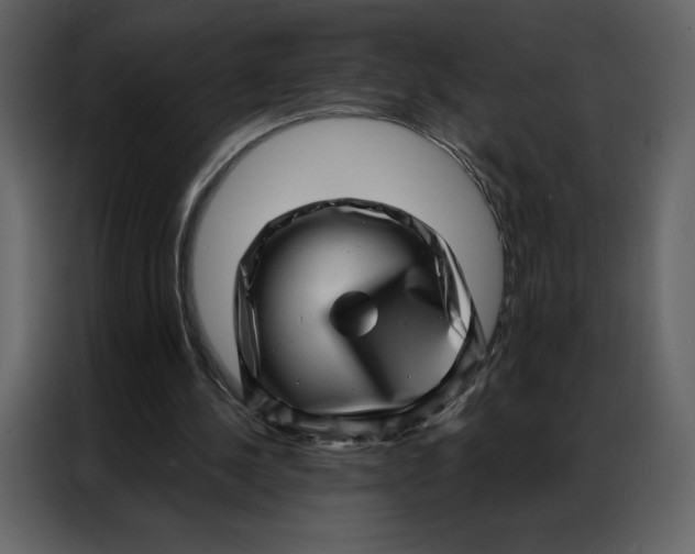 X0000086980244200705071422