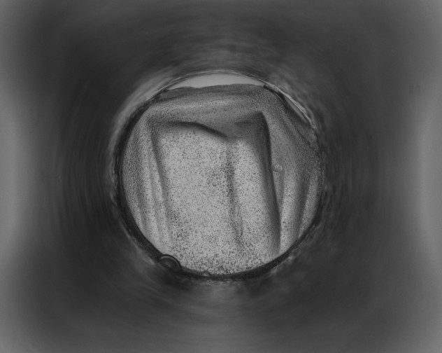 X0000086980245200705071422