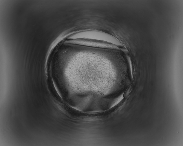 X0000086980246200705071422