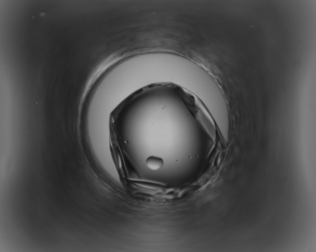 X0000086980248200705071422