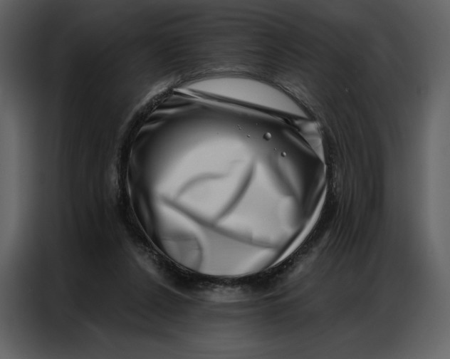 X0000086980256200705071422