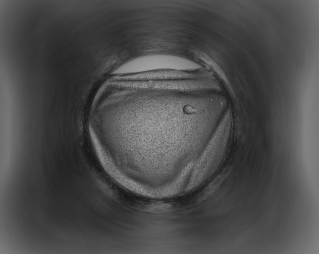 X0000086980257200705071422