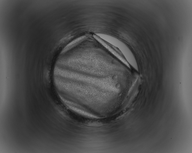 X0000086980258200705071422