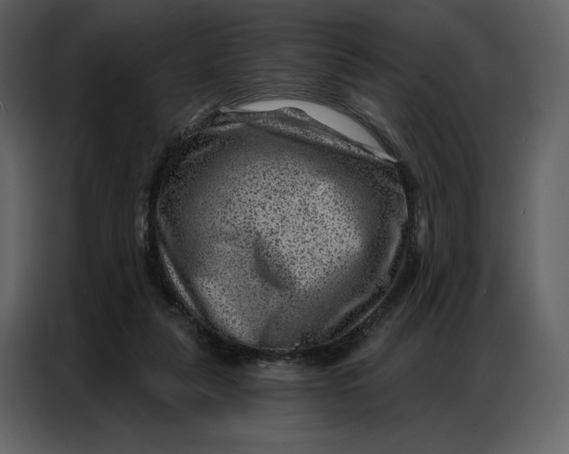 X0000086980259200705071422