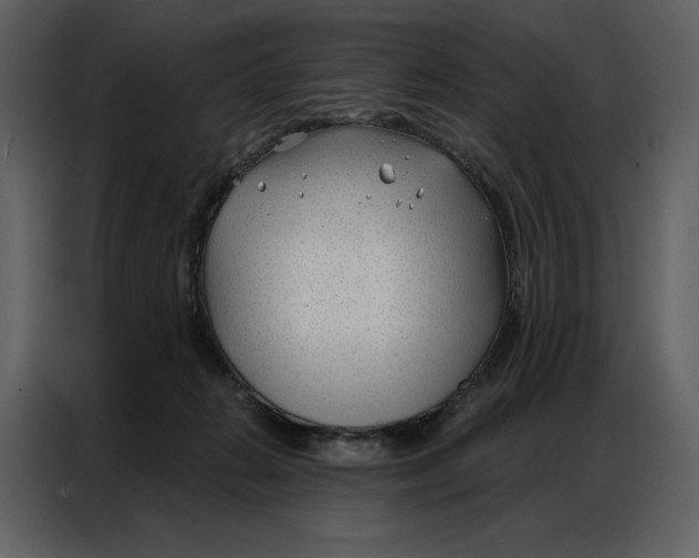 X0000086980270200705071422