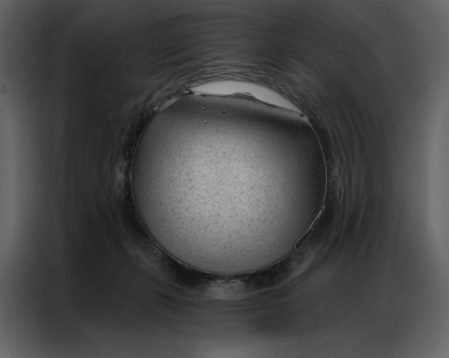 X0000086980271200705071422