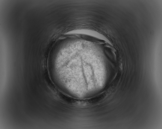 X0000086980272200705071423