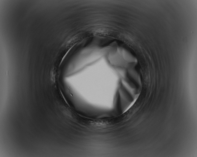 X0000086980282200705071423