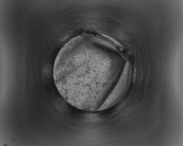 X0000086980283200705071423