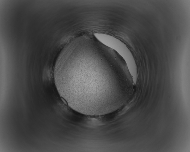 X0000086980285200705071423