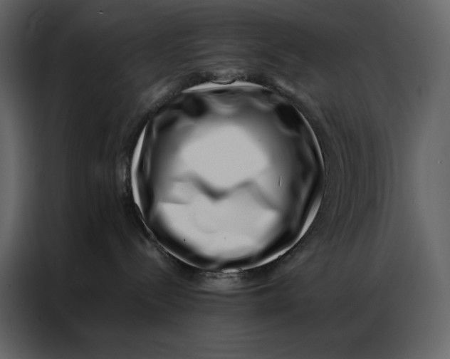 X0000086980288200705071423