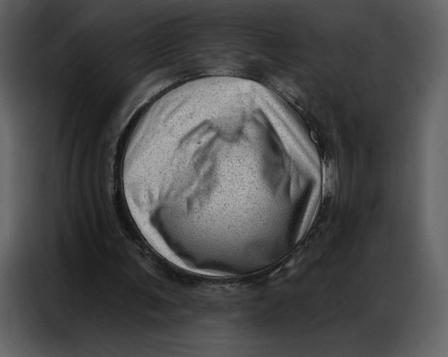 X0000086980291200705071422