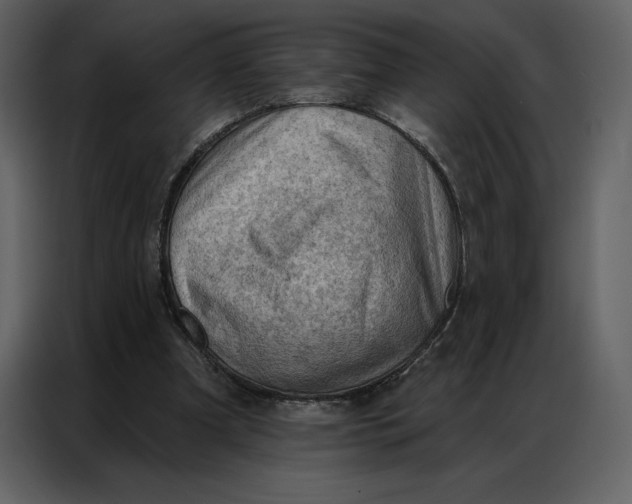 X0000086980297200705071422