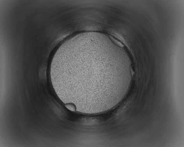 X0000086980299200705071422