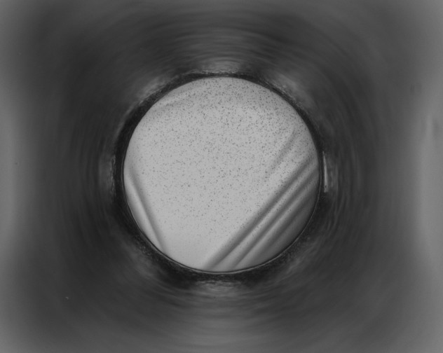 X0000086980300200705071422