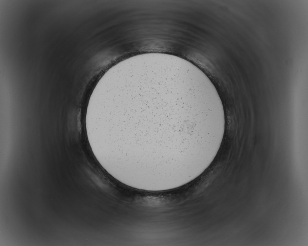 X0000086980302200705071422