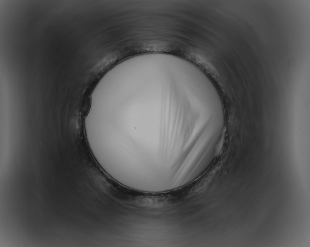 X0000086980305200705071422