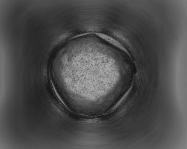 X0000086980306200705071422