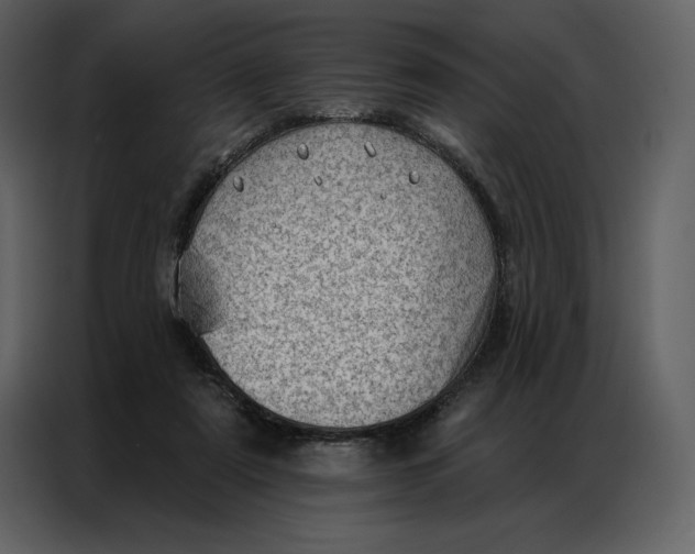 X0000086980307200705071422