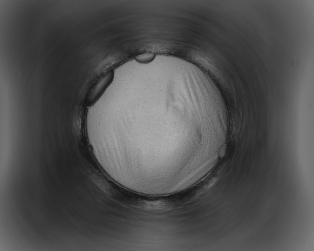 X0000086980309200705071422