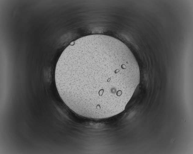 X0000086980311200705071422