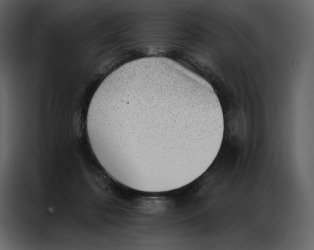 X0000086980316200705071422