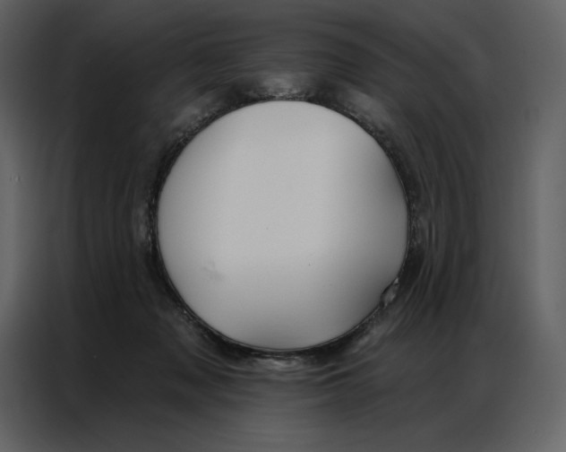 X0000086980317200705071422