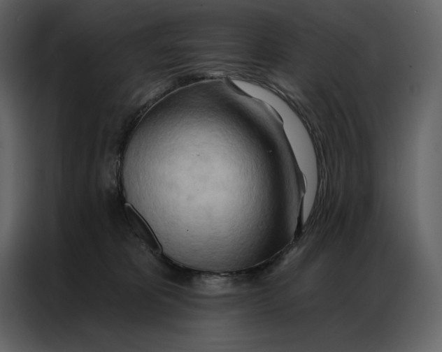 X0000086980325200705071422