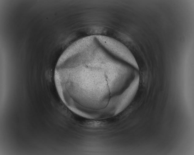 X0000086980326200705071422