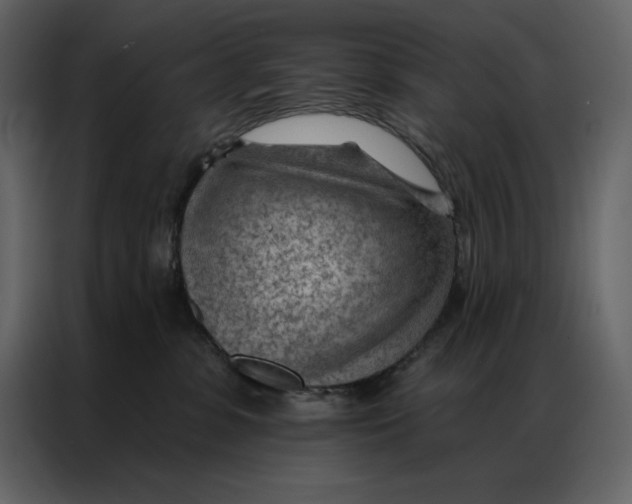 X0000086980331200705071422