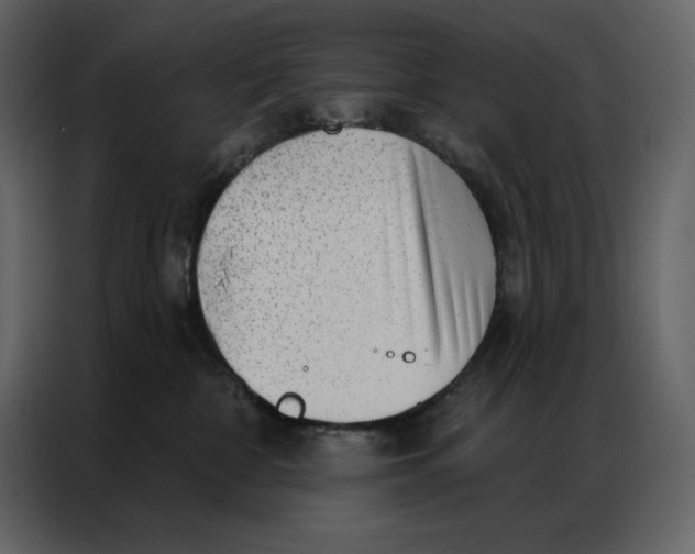 X0000086980332200705071422