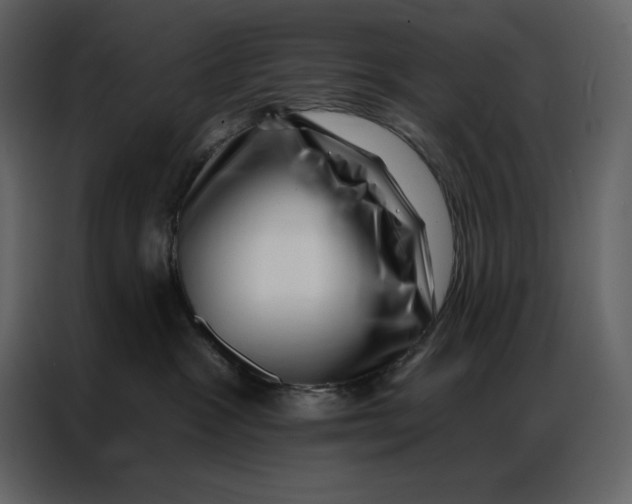 X0000086980333200705071422