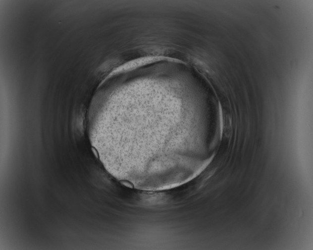 X0000086980334200705071422