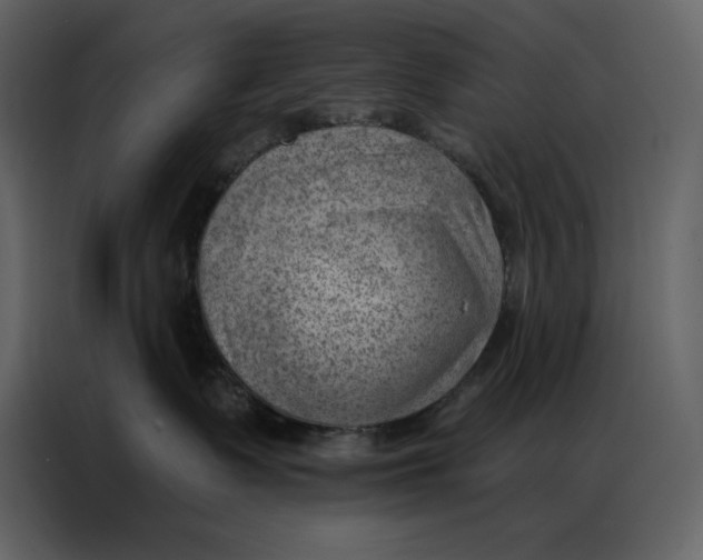 X0000086980335200705071421