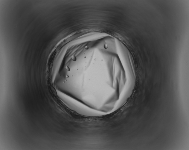 X0000086980338200705071421