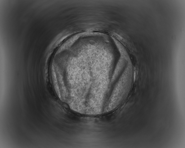 X0000086980339200705071421