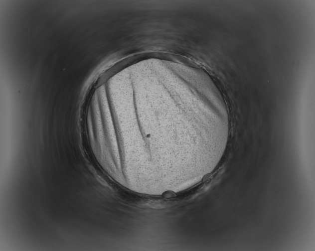 X0000086980341200705071421