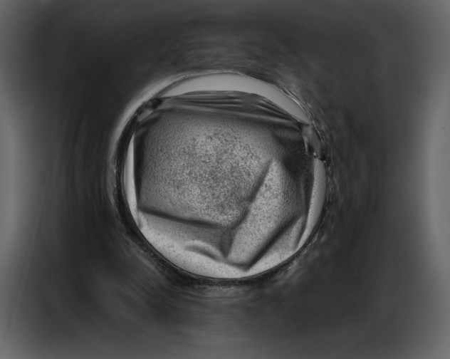 X0000086980342200705071421