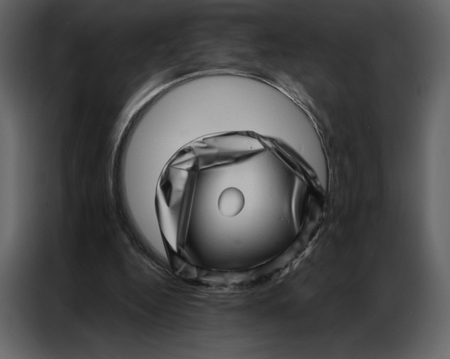 X0000086980344200705071421